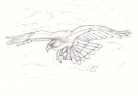 On wing